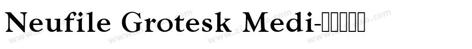 Neufile Grotesk Medi字体转换